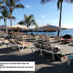 https://apartamento-daniela.puertodelcarmen-hotels.org